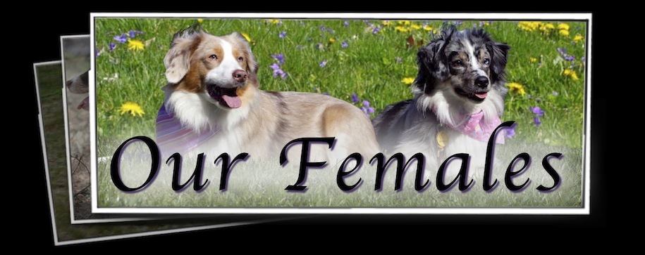 Our Females