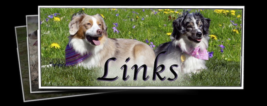 Links