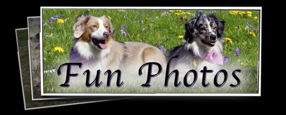 Fun Photos