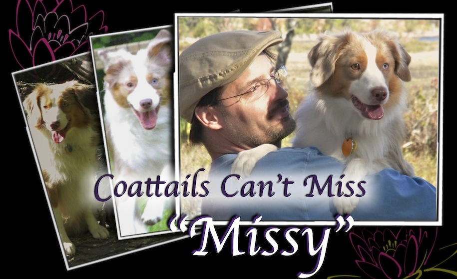 MACH Coattails Can't Miss Missy