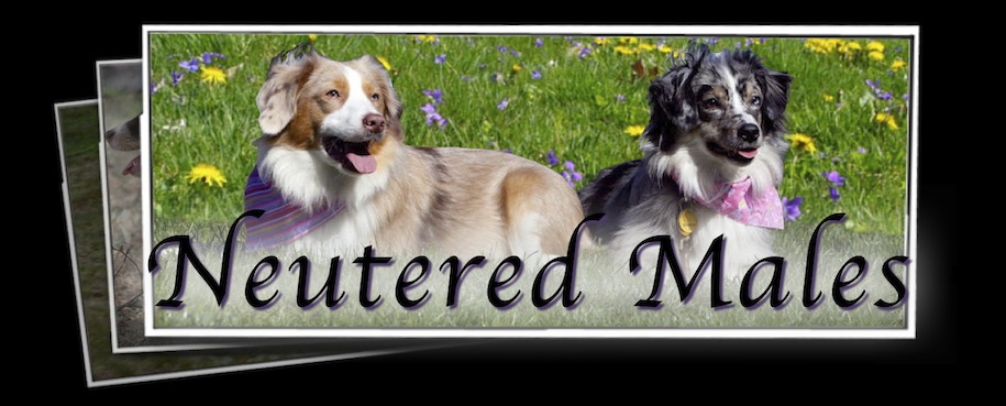 Neutered Males