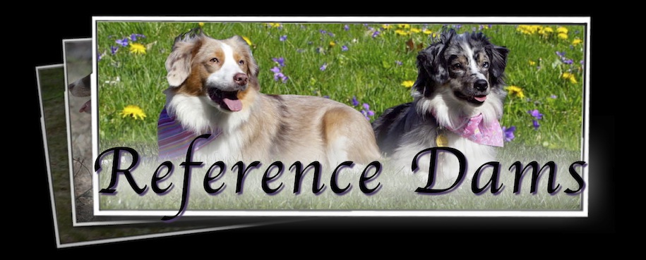 Reference Dams