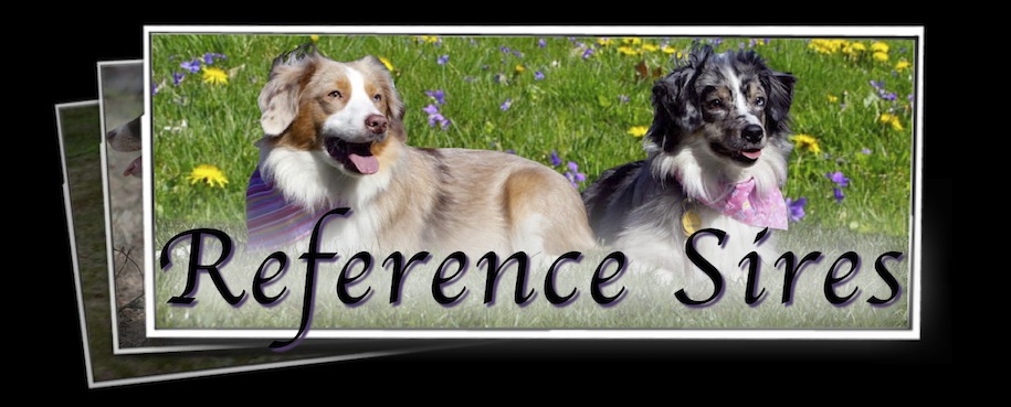 Reference Sires