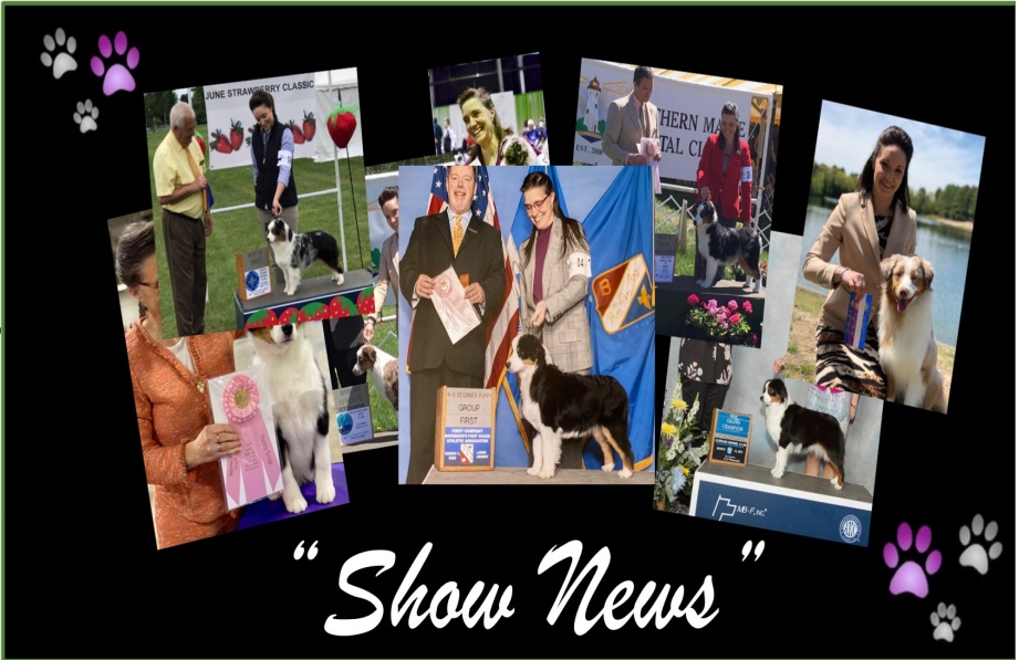 Show News